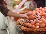 鸡蛋价格一波三折 九月呈缓慢走低趋势